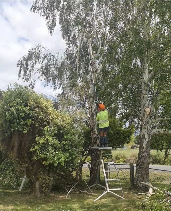 Rata Rewi Contractors Wairoa - Image 2